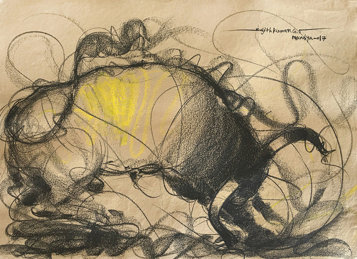 Bull Drawing-656