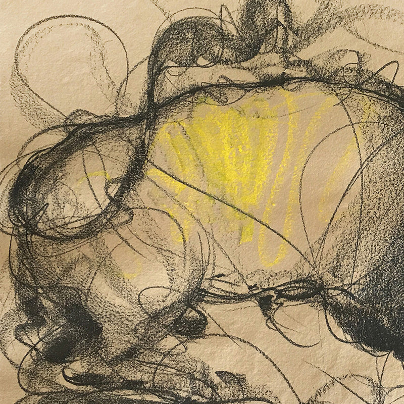 Bull Drawing-656
