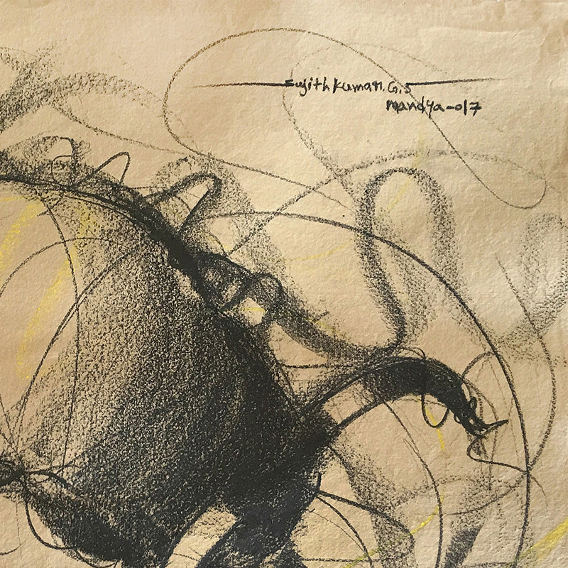Bull Drawing-656