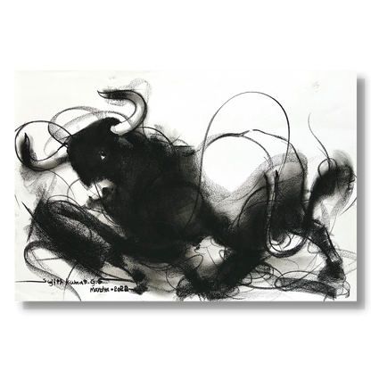 Bull Drawing-971