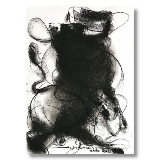 Bull Drawing-972