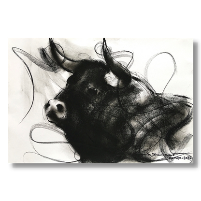 Bull Drawing-973