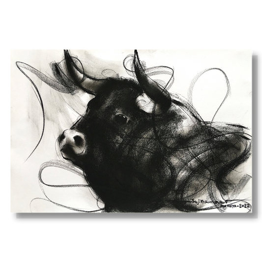 Bull Drawing-973