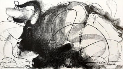 Bull Drawing-648