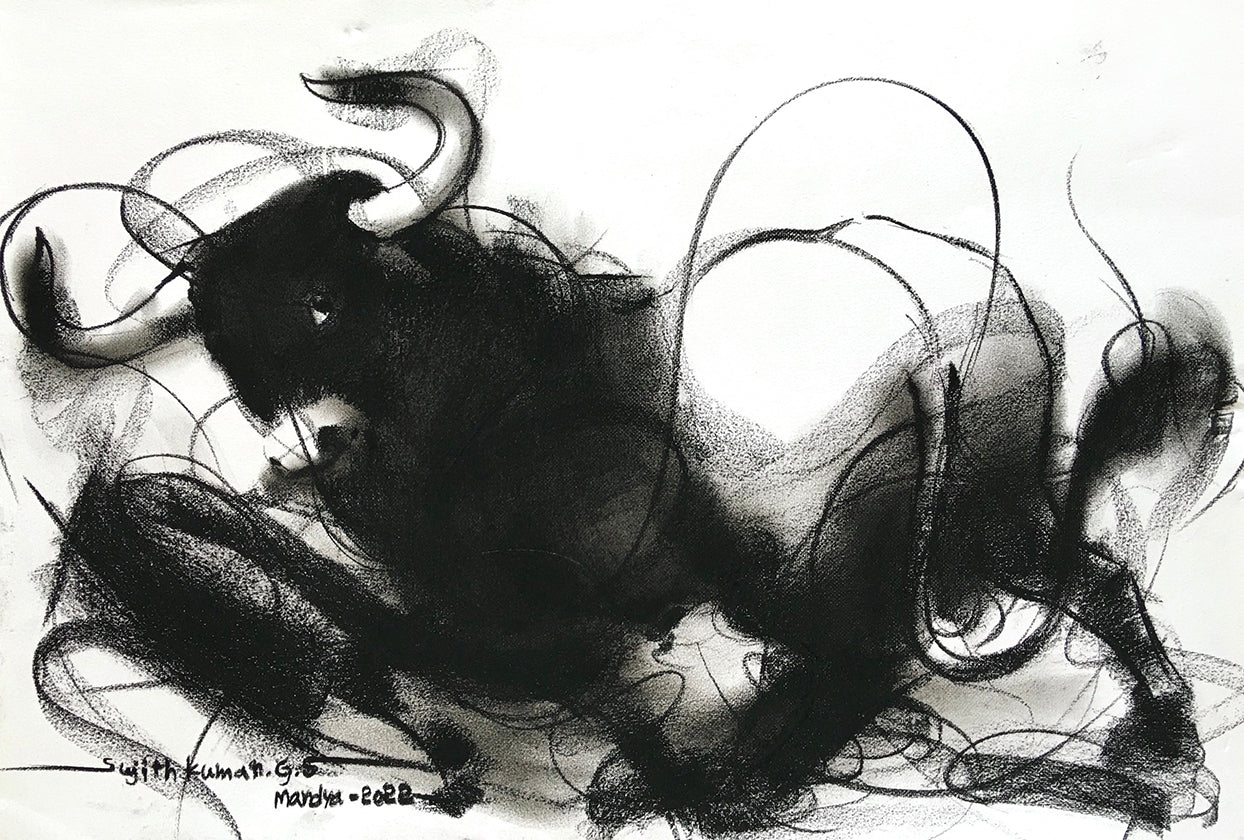 Bull Drawing-971