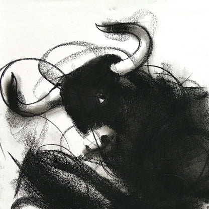 Bull Drawing-971