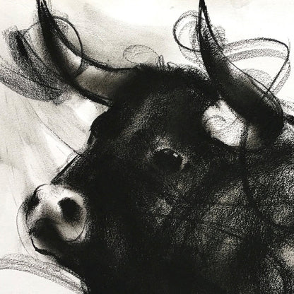 Bull Drawing-973