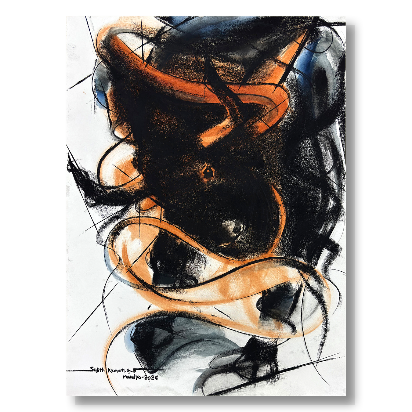 Bull Drawing-1003