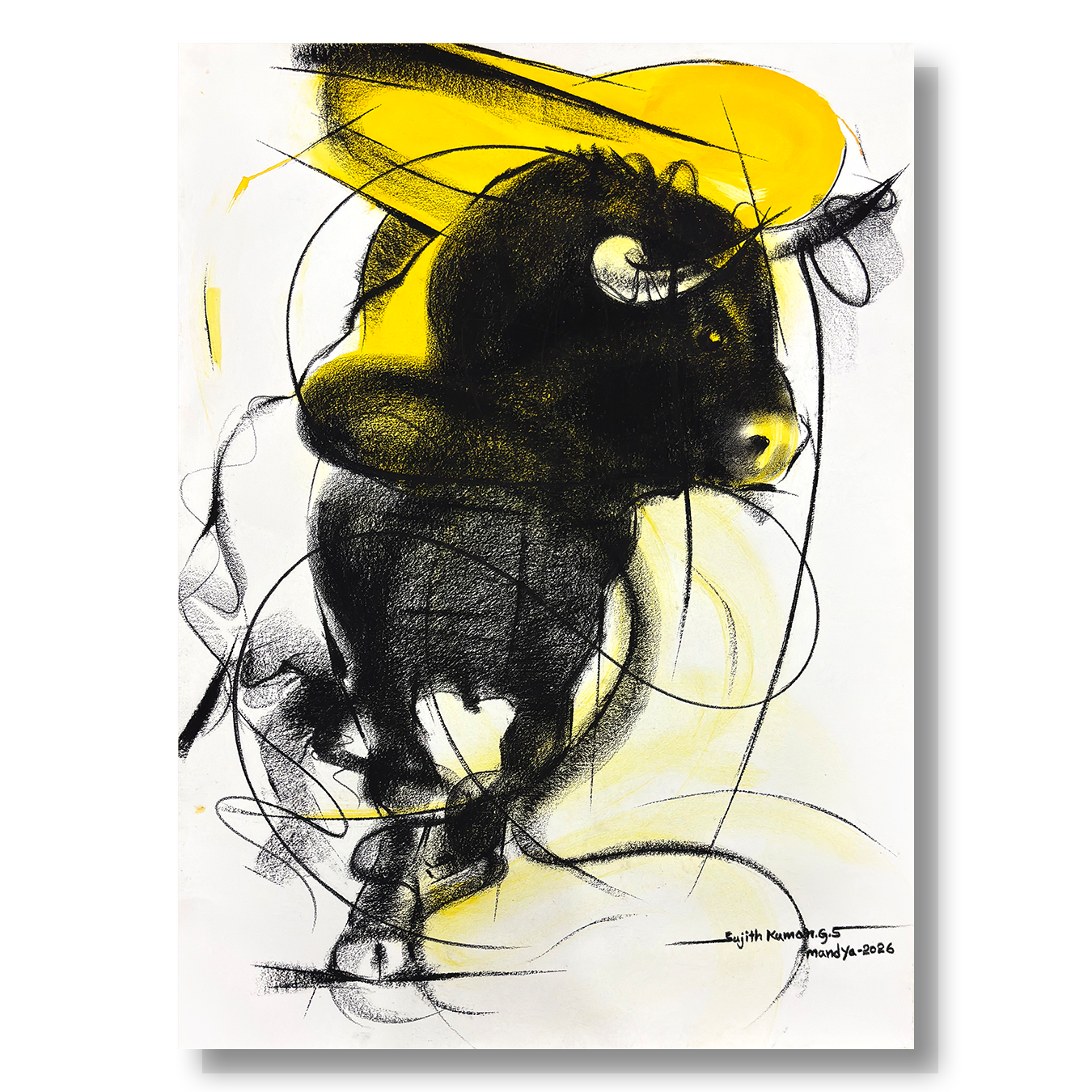 Bull Drawing-1006