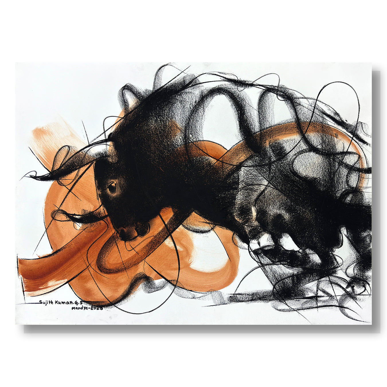 Bull Drawing-1010