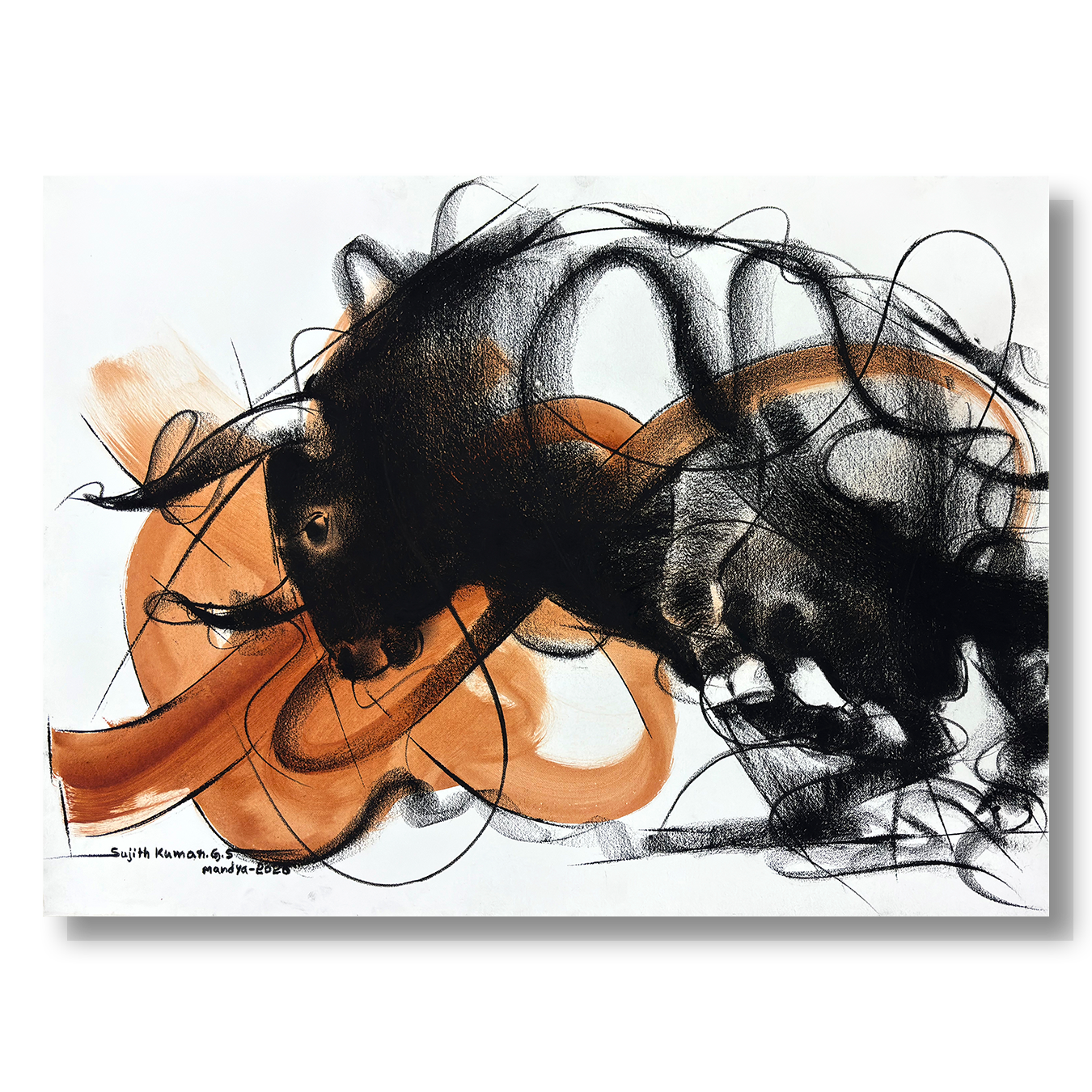 Bull Drawing-1010