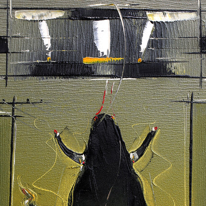 Bull-107