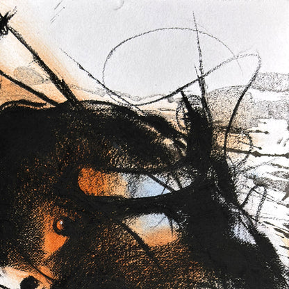 Bull-994