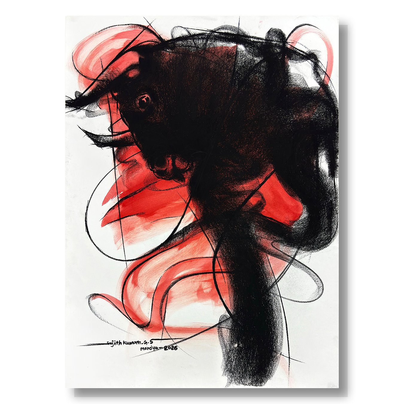 Bull Drawing-1000