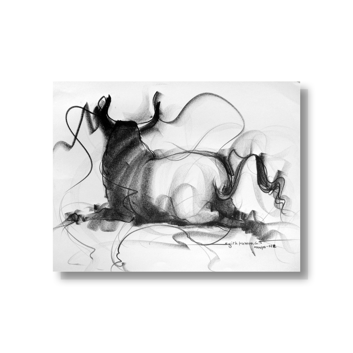 Bull Drawing-100
