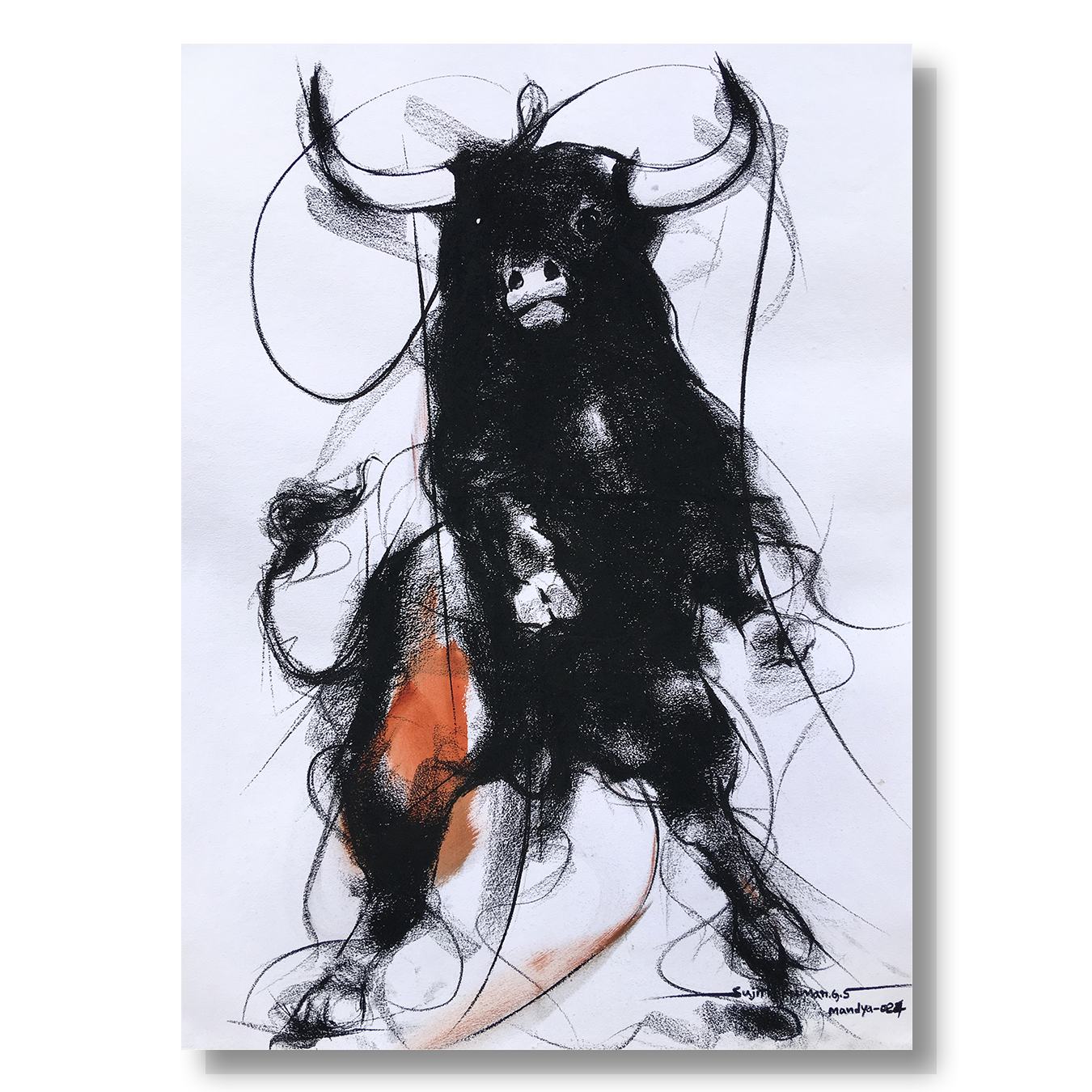Bull Drawing-986