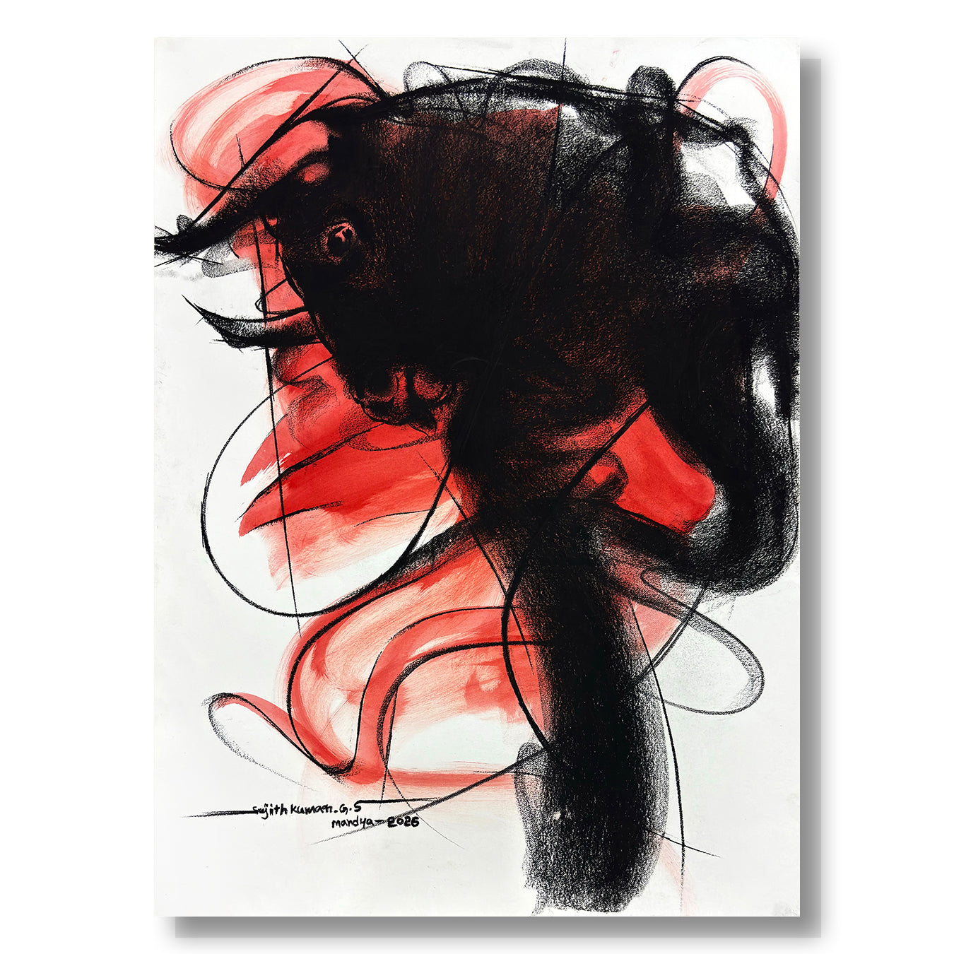Bull Drawing-1000
