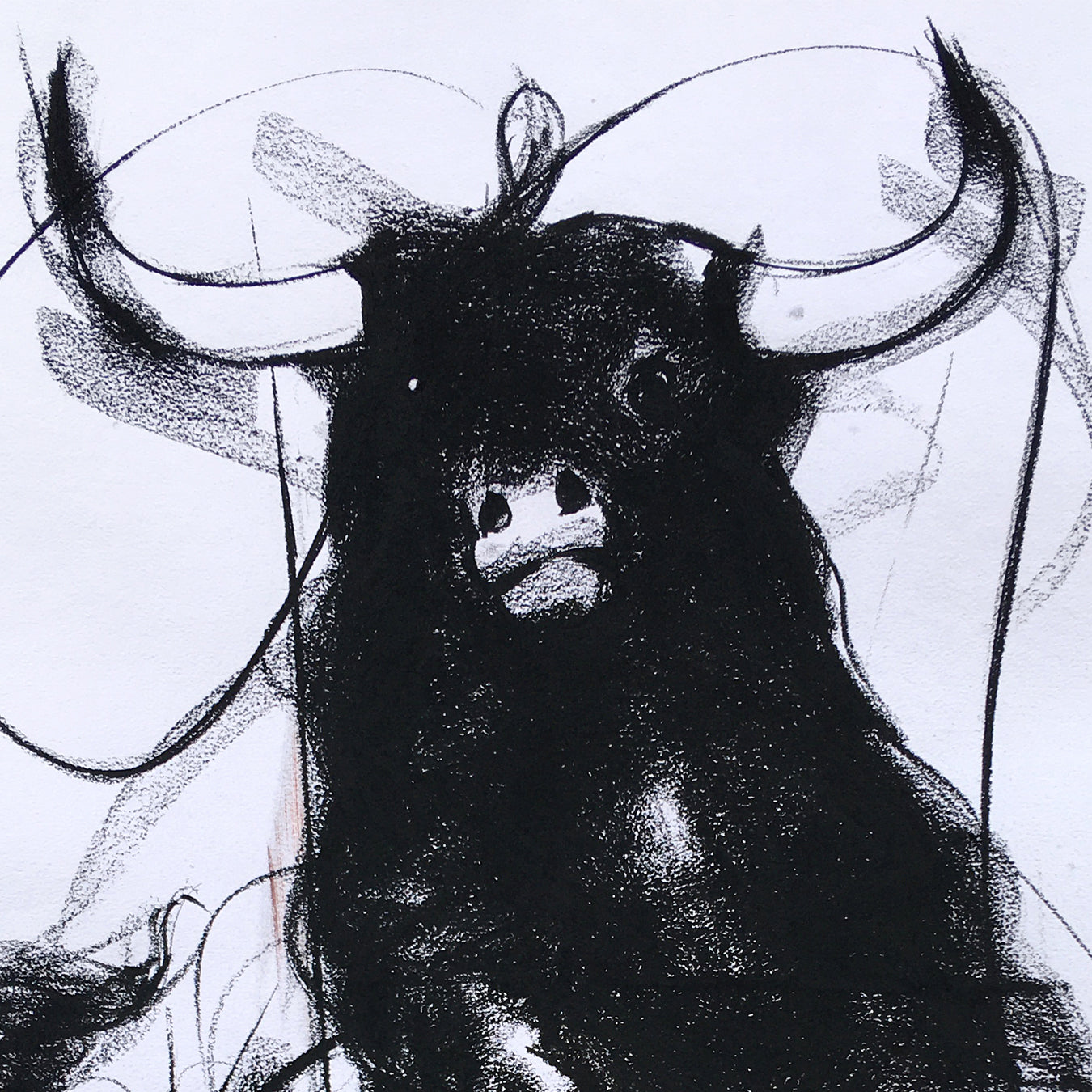 Bull Drawing-986