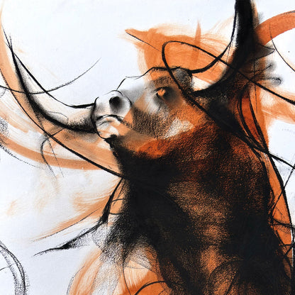 Bull Drawing-998