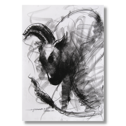 Bull Drawing-001