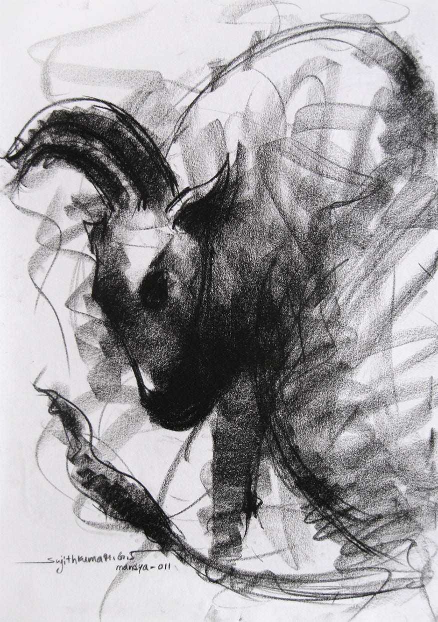 Bull Drawing-001