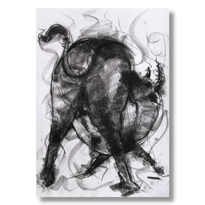 Bull Drawing-002a