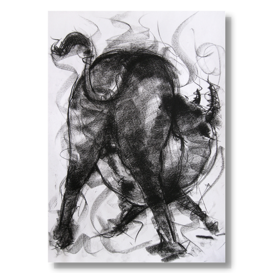 Bull Drawing-002a