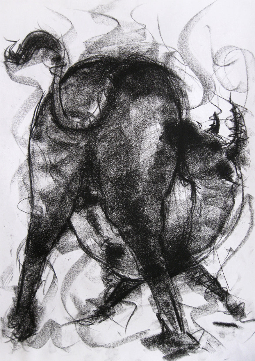 Bull Drawing-002a