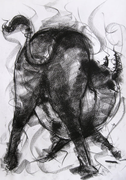Bull Drawing-002a