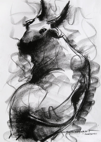 Bull Drawing-003