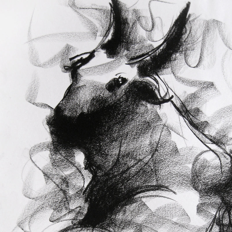 Bull Drawing-003