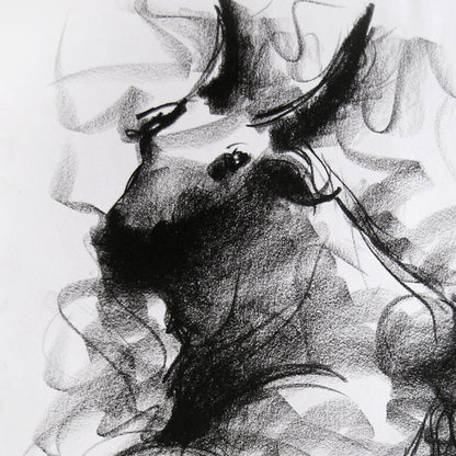 Bull Drawing-003