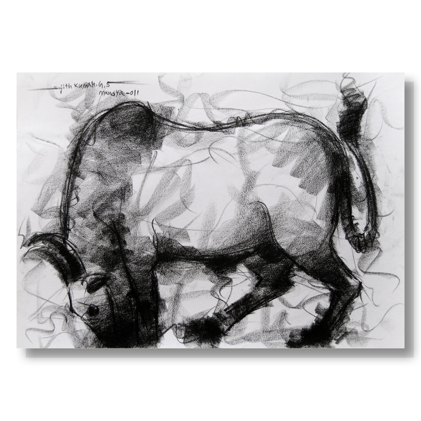 Bull Drawing-004