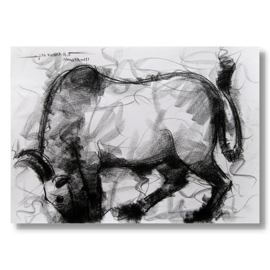 Bull Drawing-004