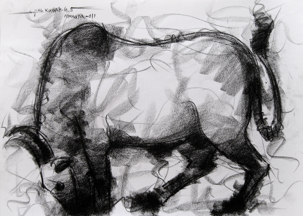 Bull Drawing-004