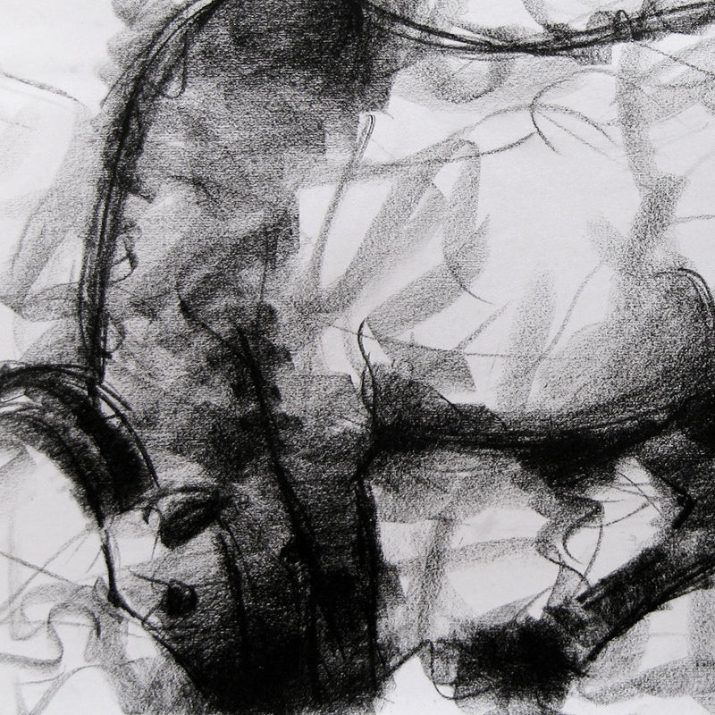 Bull Drawing-004