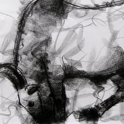 Bull Drawing-004