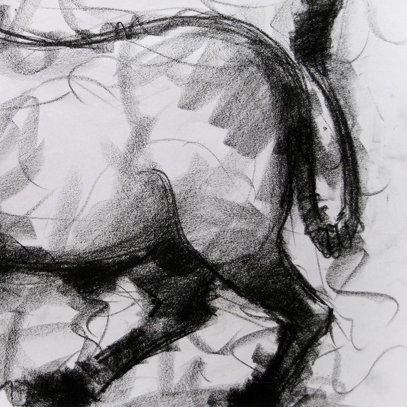 Bull Drawing-004