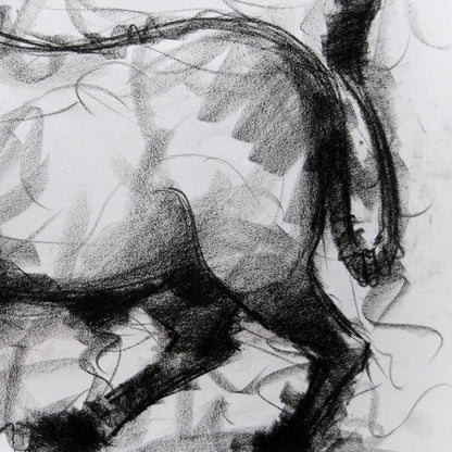 Bull Drawing-004