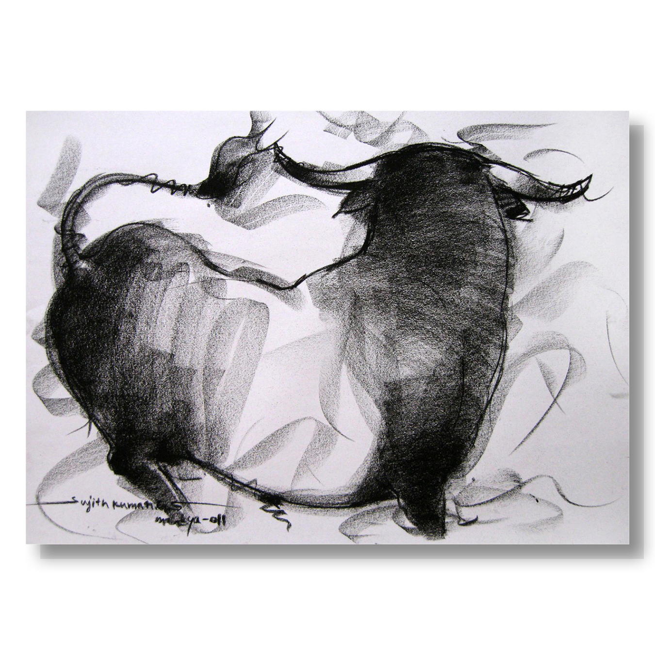 Bull Drawing-005
