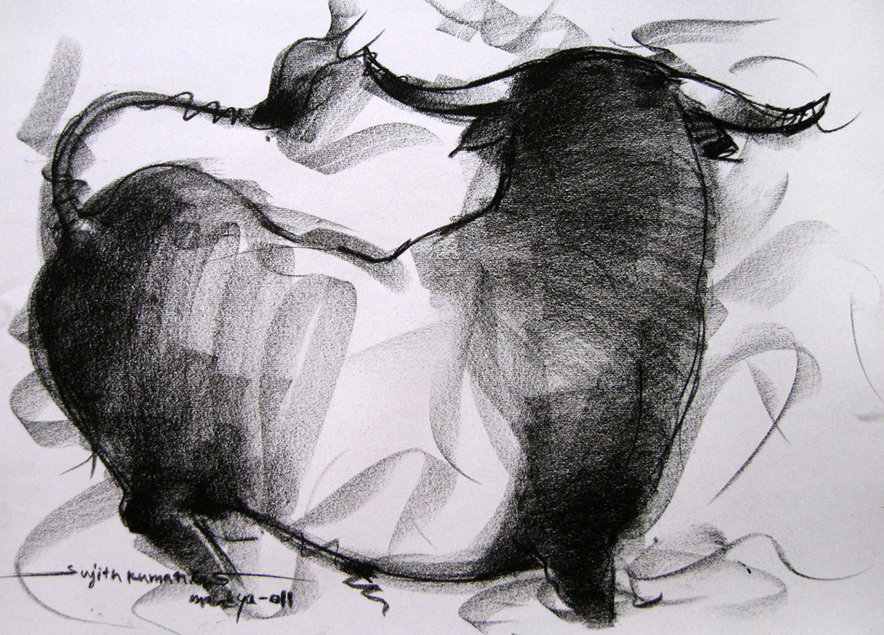 Bull Drawing-005