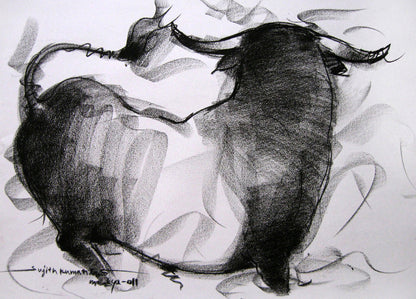 Bull Drawing-005