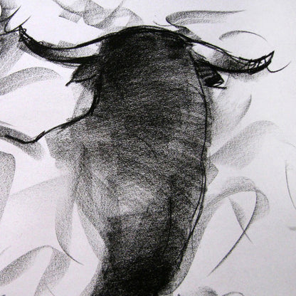 Bull Drawing-005