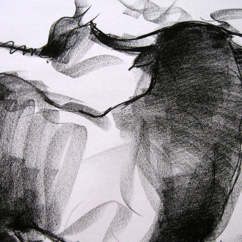 Bull Drawing-005