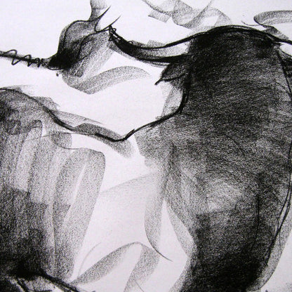 Bull Drawing-005