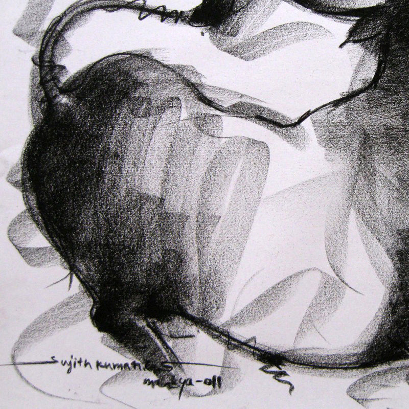 Bull Drawing-005