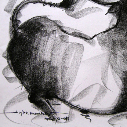 Bull Drawing-005