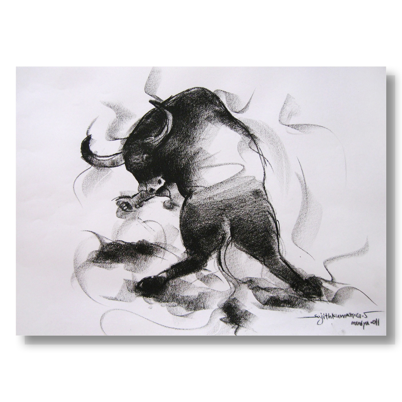 Bull Drawing-006