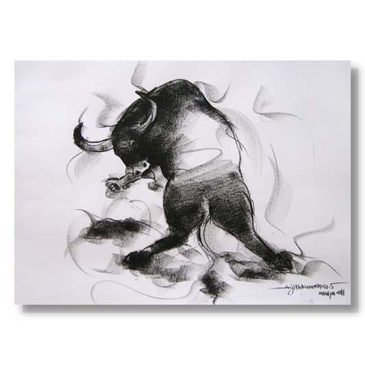Bull Drawing-006