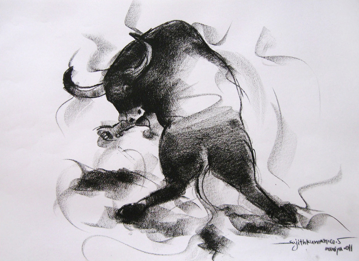 Bull Drawing-006